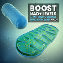 Suplemento de NAD+ lipossomal 1000 mg, maior concentração de NAD, máxima absorção | Energia e reparação do DNA, defesa contra o envelhecimento, função cerebral
