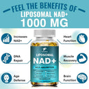 Suplemento de NAD+ lipossomal 1000 mg, maior concentração de NAD, máxima absorção | Energia e reparação do DNA, defesa contra o envelhecimento, função cerebral